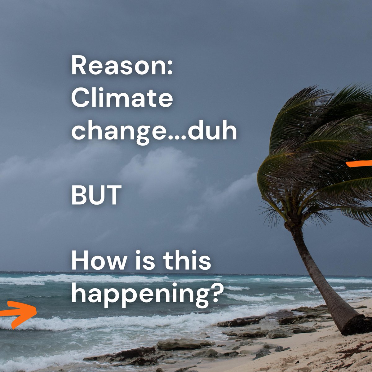 Deb🔬📣✍️🎥 (@deb_comms) on Twitter photo So I've been thinking IF there any common factors between the record breaking #Monsoon2021 and #HurricaneIda - came across a few articles from <a href="/htTweets/">Hindustan Times</a> <a href="/ConversationUK/">The Conversation</a> and a few other references and put this together
Full set of pictures here: bit.ly/38N2xaJ So I've been thinking IF there any common factors between the record breaking #Monsoon2021 and #HurricaneIda - came across a few articles from <a href="/htTweets/">Hindustan Times</a> <a href="/ConversationUK/">The Conversation</a> and a few other references and put this together
Full set of pictures here: bit.ly/38N2xaJ