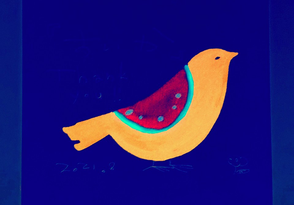 色ちがい スイカ鳥 イラスト ペン画 写真加工 色を反転した世 みつばぷれす お絵描きのイラスト