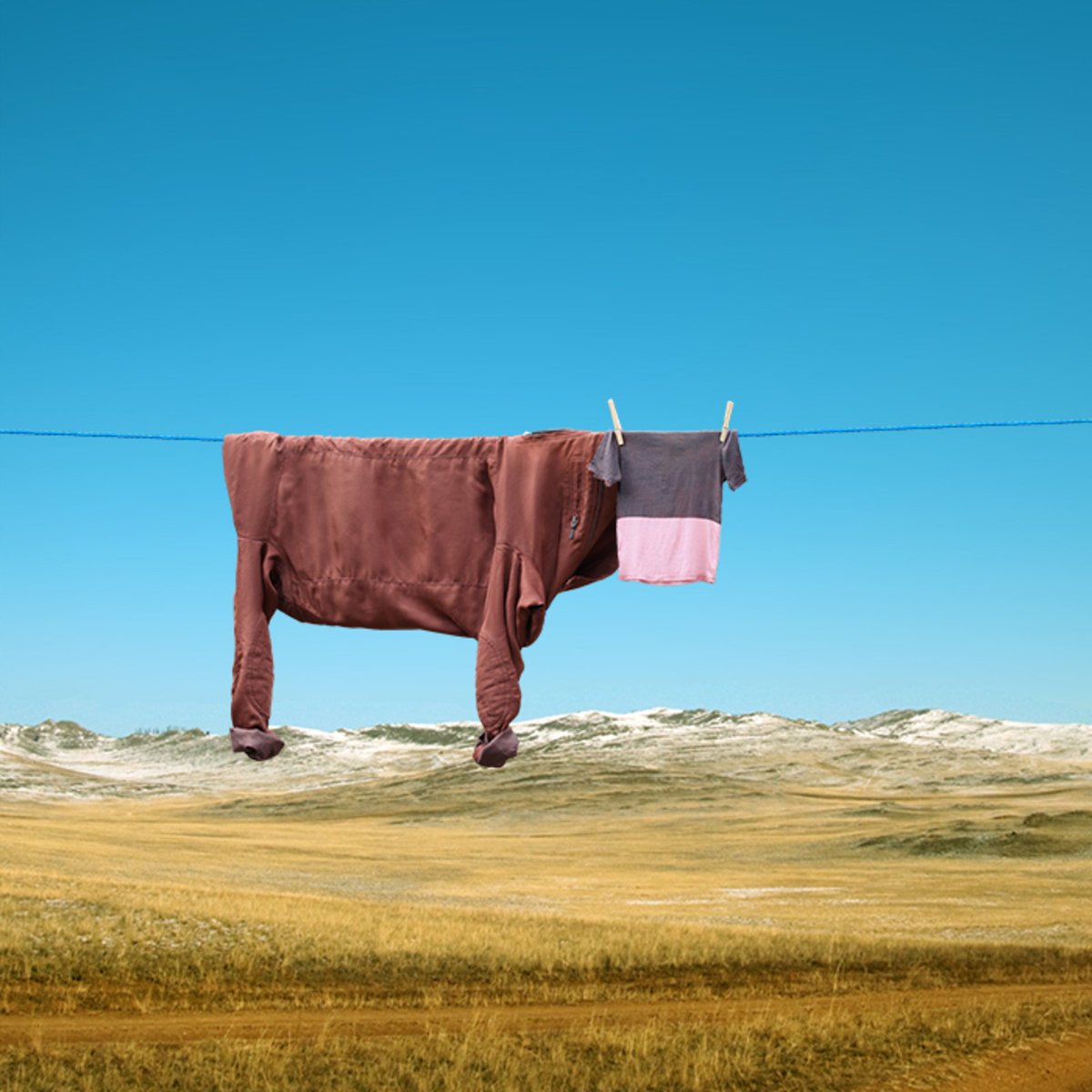 womensart1's tweet image. Artist Helga Stentzel's clothesline  animals #WomensArt #Monday