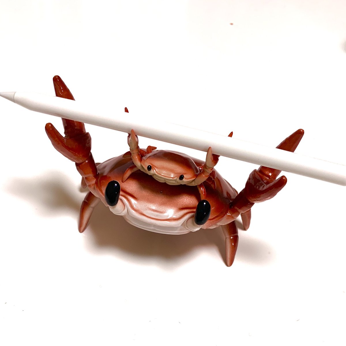 crab no humans white background animal simple background solo black eyes  illustration images