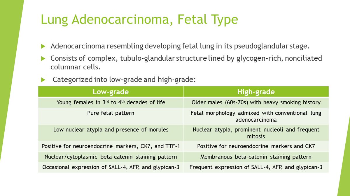 #lungpath #thoracicpath #patheducation #pathboards