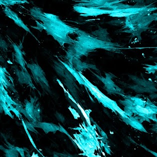 BioLens_Cells's tweet image. Gm