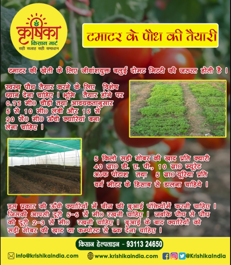 🍅 टमाटर के पौध की तैयारी 🍅
📱 किसान हेल्पलाइन - 𝟗𝟑𝟏𝟏𝟑 𝟐𝟒𝟔𝟓𝟎
🌐 krishikaindia.com
#tomato #tomatofarming #tomatocrop #tomatocultivation #farming #agriculture #agritech #indianfarmers #farmer #kishan #indianagriculture #organicfarming #krishika #KrishikaKisaanMart