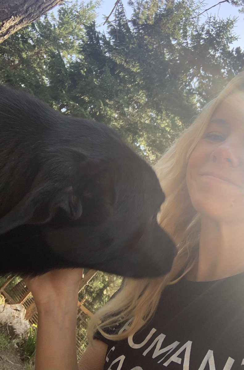 Hannah Surowinski tweet media