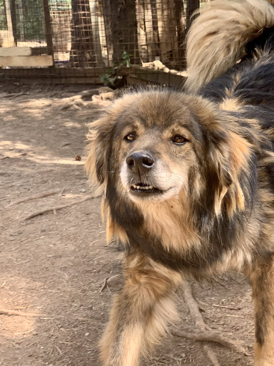 Hannah Surowinski tweet media