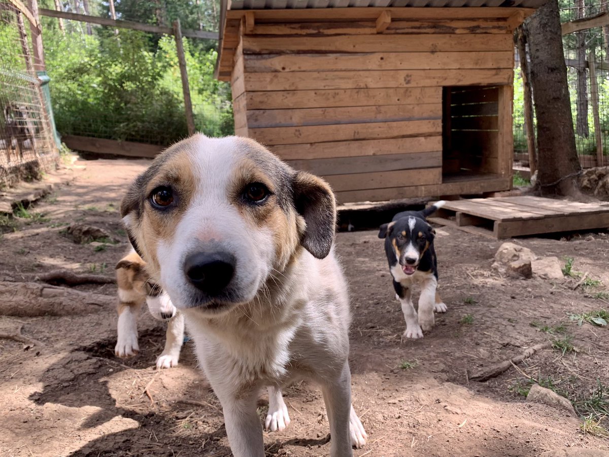 Hannah Surowinski tweet media