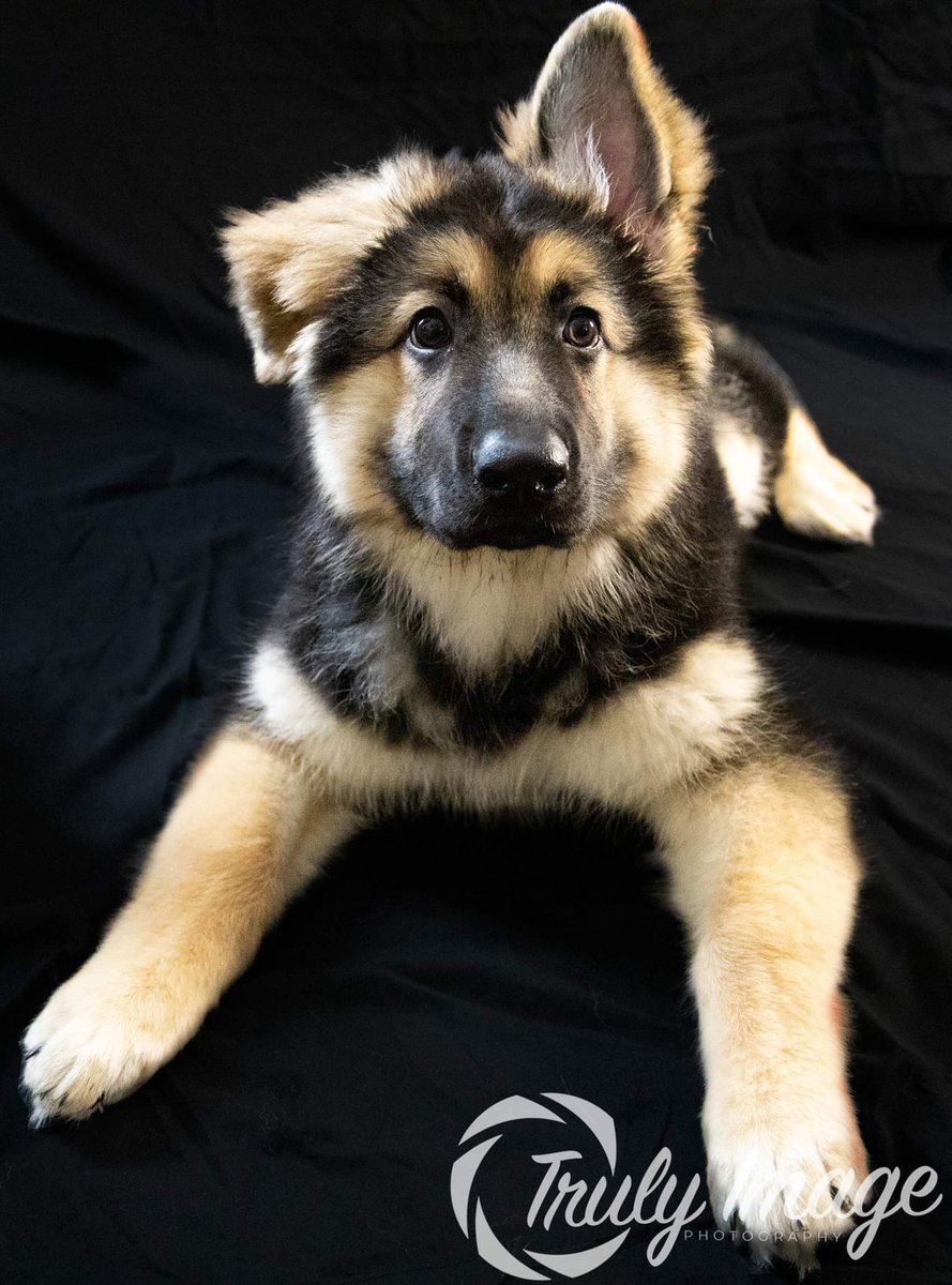 TrulyImage's tweet image. 