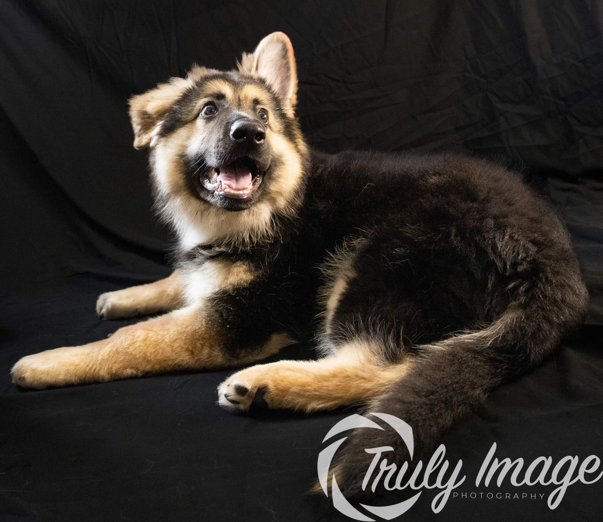 TrulyImage's tweet image. 