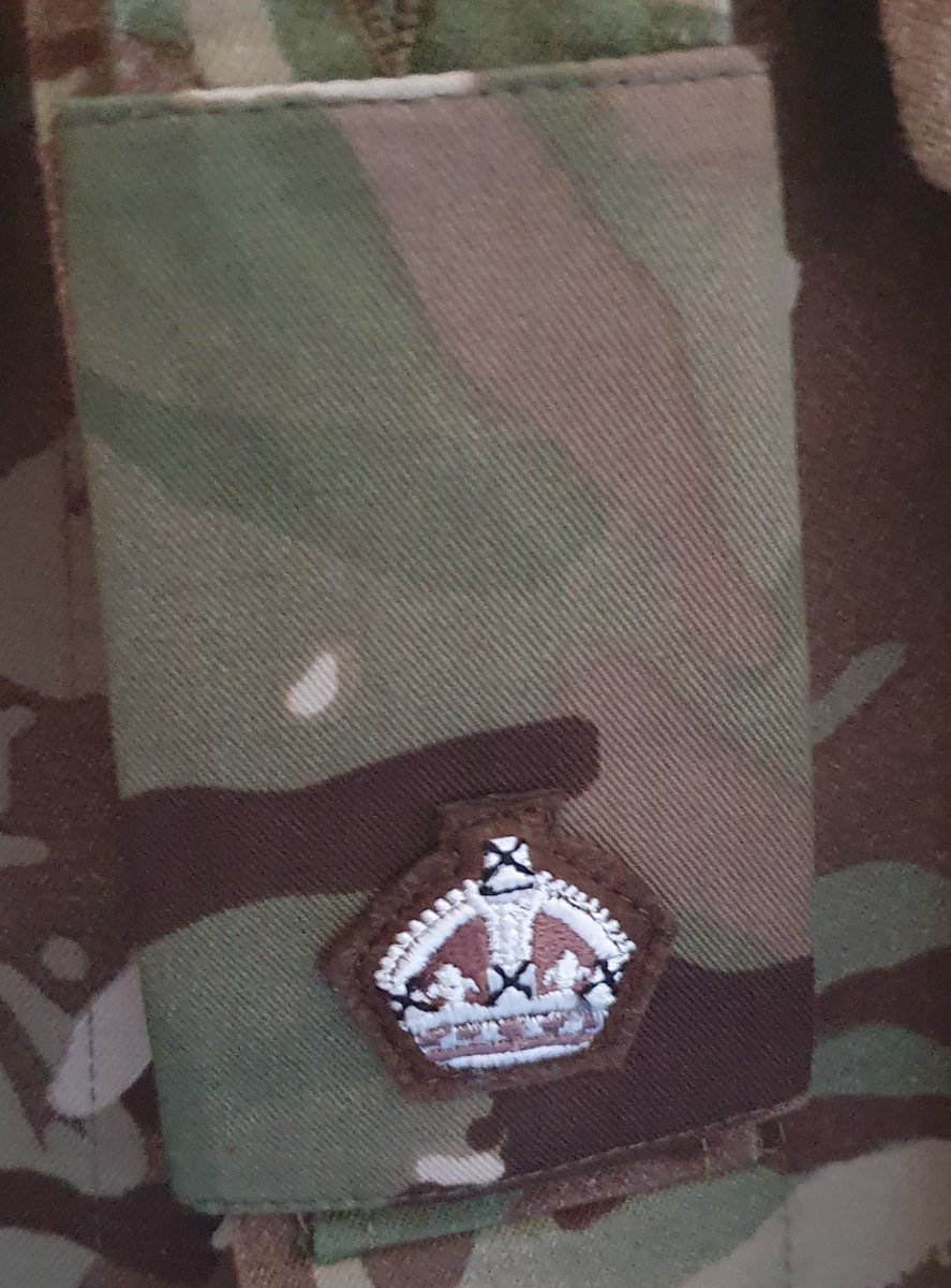 OC Burma tweet media