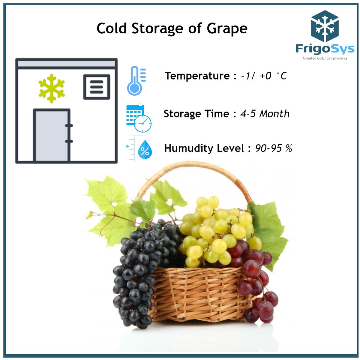 FrigoLtd's tweet image. Cold Storage of Grapes
Ideally, storage rooms should operate at -1 to 0 ºC (30 to 32 ºF) with 90 to 95% RH and a moderate airflow of 20 to 40 ft3
For more information, you can visit the web-page
lnkd.in/dTuCugF

#FrigoSystem #refrigeration #coldroom #grape #storage