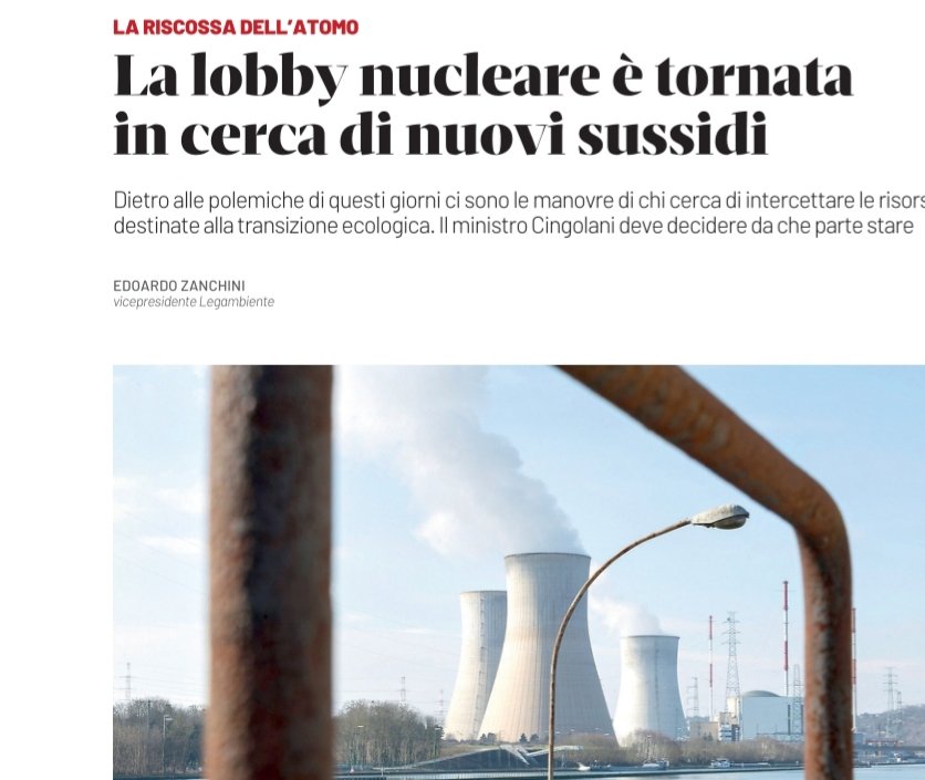 edoardo zanchini tweet media