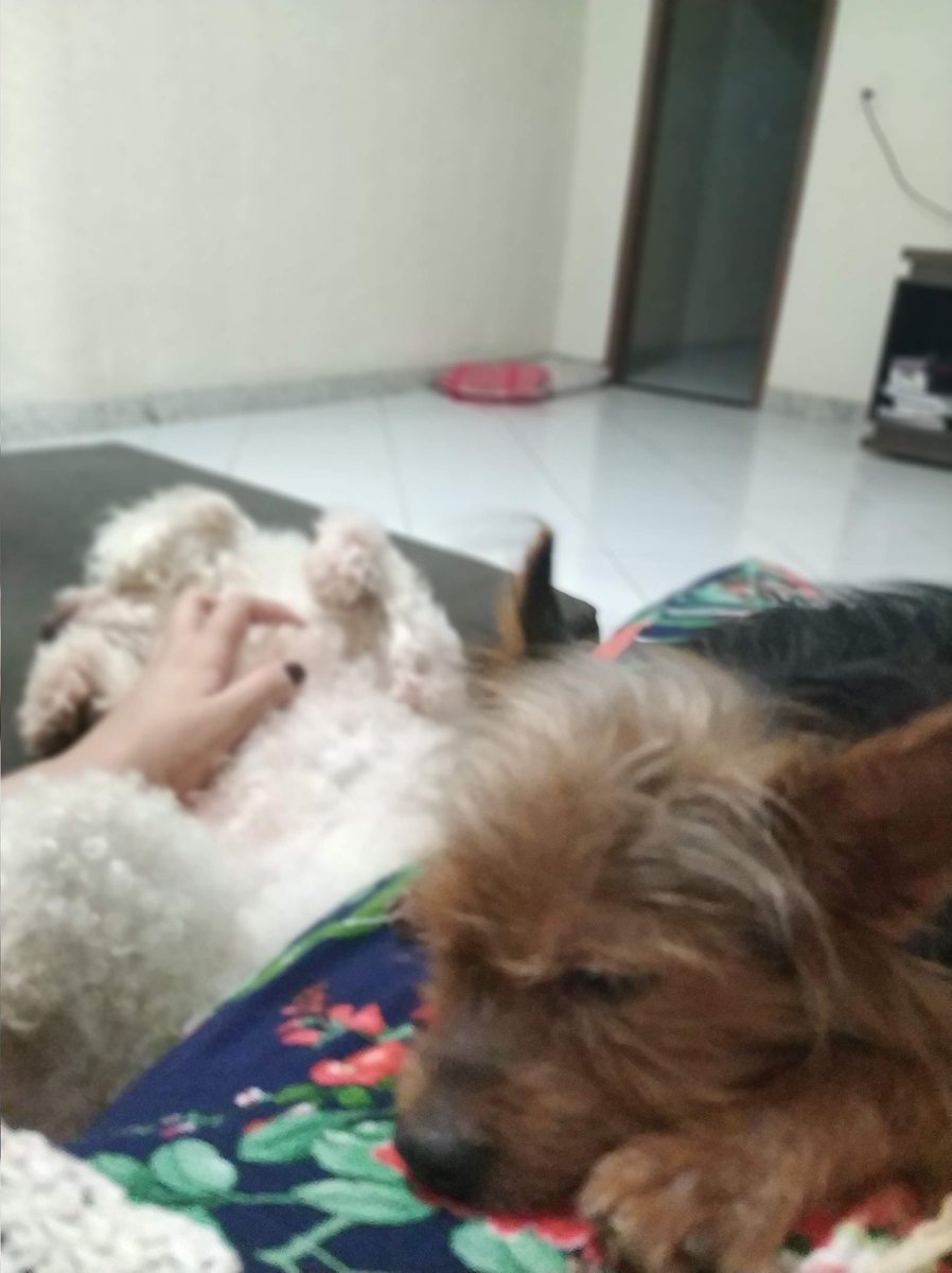 brudelfior's tweet photo. Você são meu coração fora do peito ❤️ a única coisa que realmente importa pra mim, sei que nunca fui a melhor, mas eu tento, juro https://t.co/2QjP72wg6T