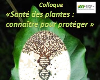 préparez vos agendas en présentiel les 25 et 26 novembre un colloque scientifique « santé des plantes : connaître pour protéger » ow.ly/pktG50FYCb8