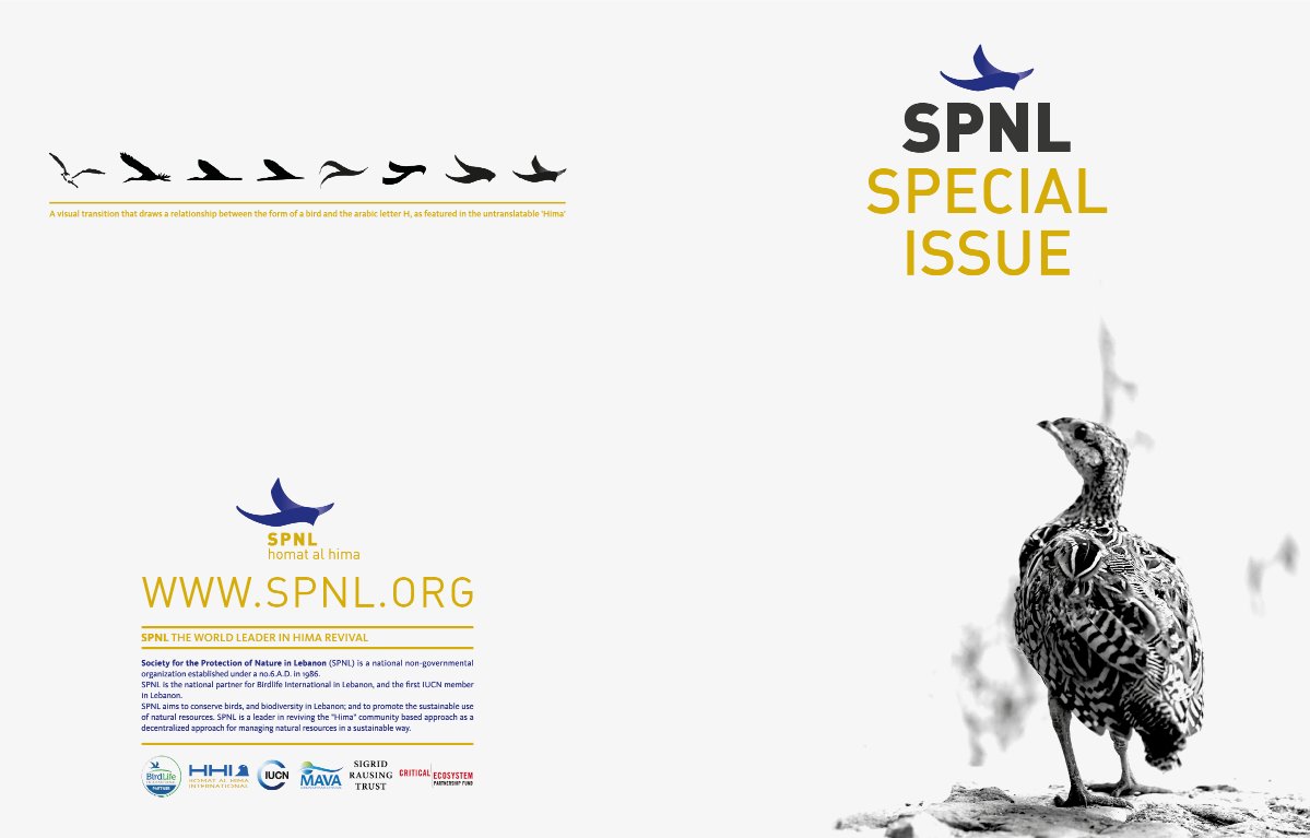 Toyourna | طيورنا tweet media