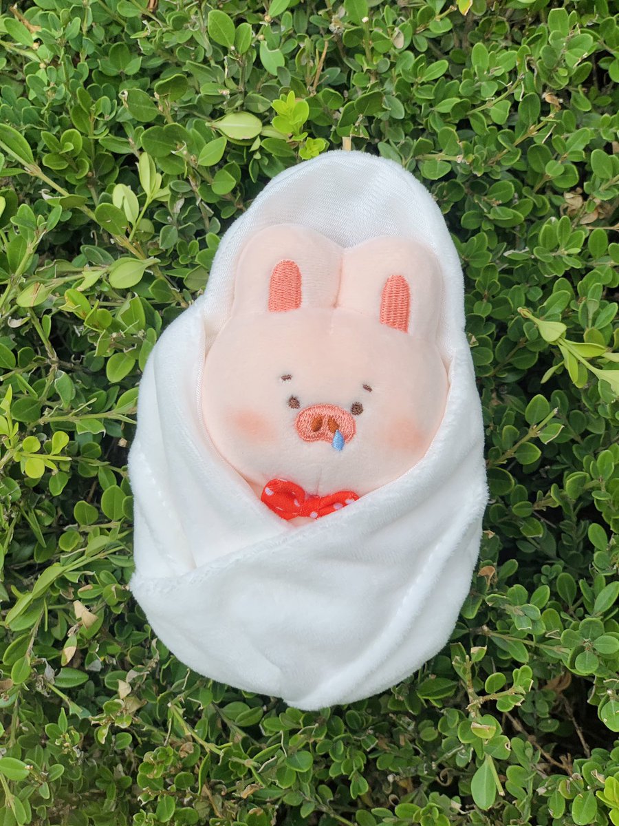 first_coco's tweet photo. 애기 꼴꼴이의 첫 외출🐷🐰 https://t.co/1nTwbqOLQt
