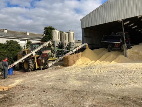 [#moisson21]
🌽La récolte du maïs approche !
Pour bien réussir celle du maïs grain humide, quelques petits rappels d’<a href="/Arvalisofficiel/">ARVALIS</a> 
arvalis-infos.fr/reussir-la-rec…