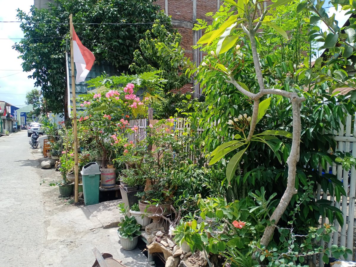 IyekF's tweet photo. Agar tidak membuang Sampah di Selokan

Memanfaatkan Ruang untuk Oksigen https://t.co/pDfJJsBzUz