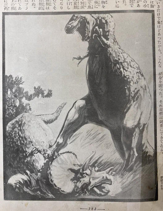 昭和7年の動物図鑑の恐竜のページ。迫力あるイラストですが(この時期の恐竜絵あるあるで)海外の文献にテキストがあるんでしょうか。タイラノザウラス!トリセラトツプス! 
