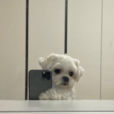 jul tweet media