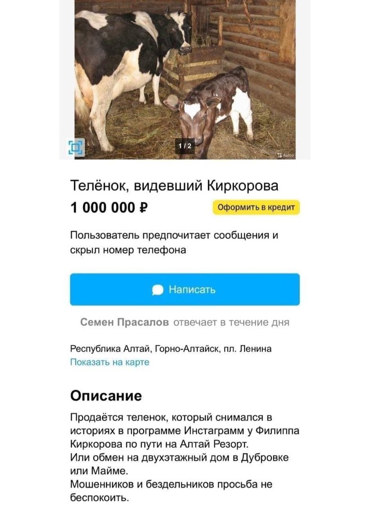 Василий tweet media