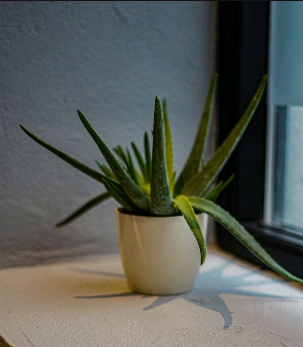 The Box CoWork Killarney tweet media