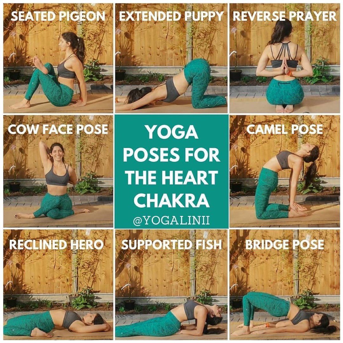 Anahata Chakra Baddha Hasta Virabhadrasana / Open Heart Chakra Hands Bound  Warrior Pose – Open Up Your Heart! – Yoga365Days