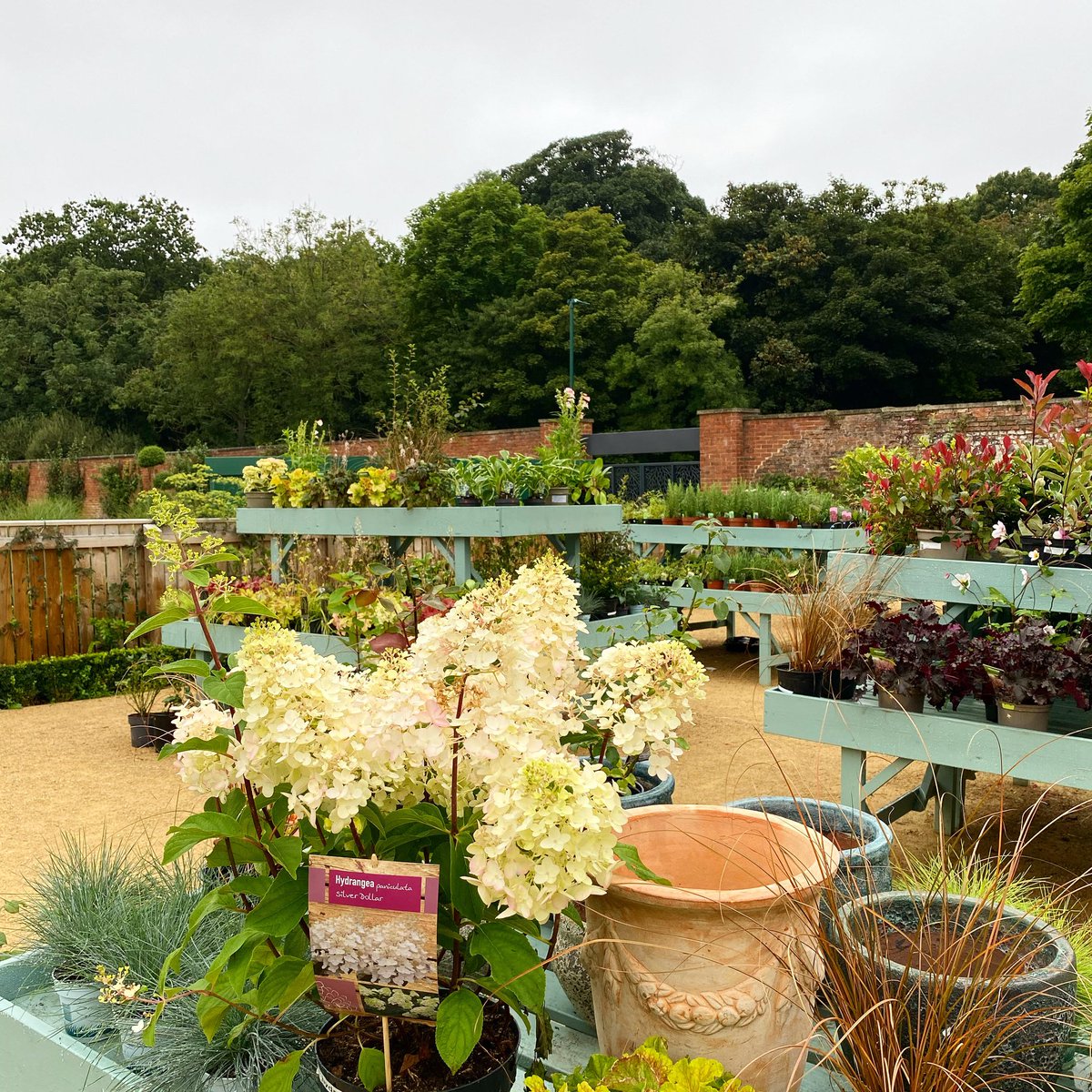 KirkleathamWG's tweet image. We are open all week 10am – 5:30pm, while you visit don’t forget to stop by our shop and see the great selection of plants for sale. We hope to see you soon. 🌿