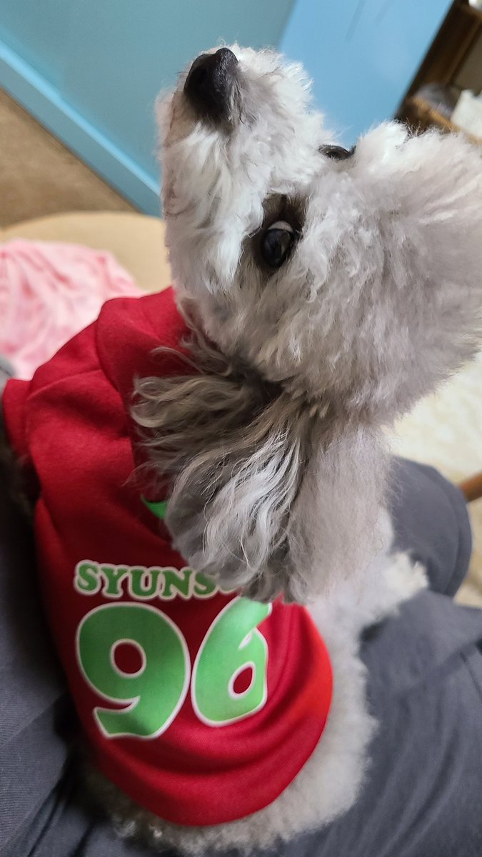 黒田俊介 のtwitterリアルタイム検索結果 Meyou ミーユー