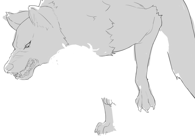 これはコーカサスハクギンオオカミ 