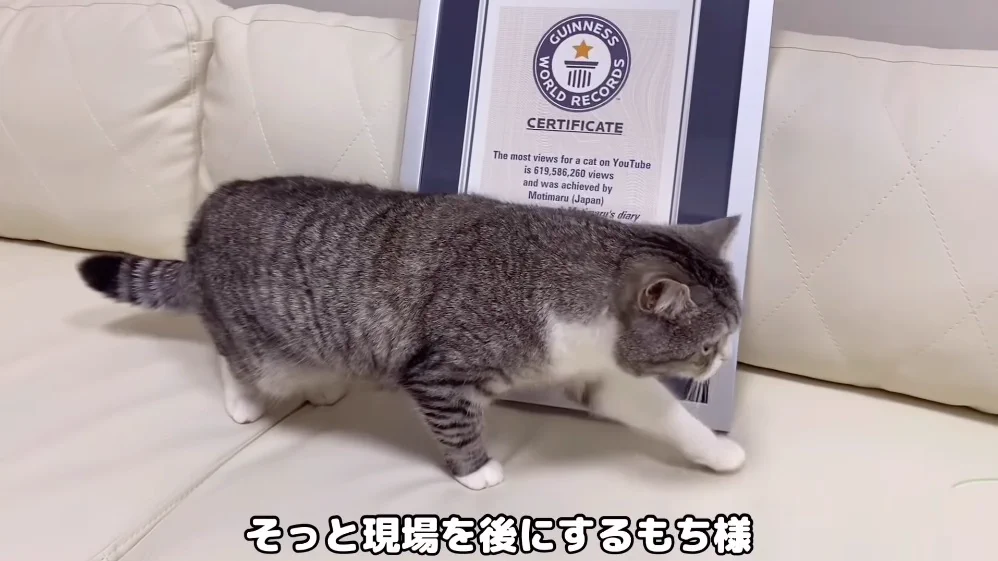 YouTube Japan on X: 