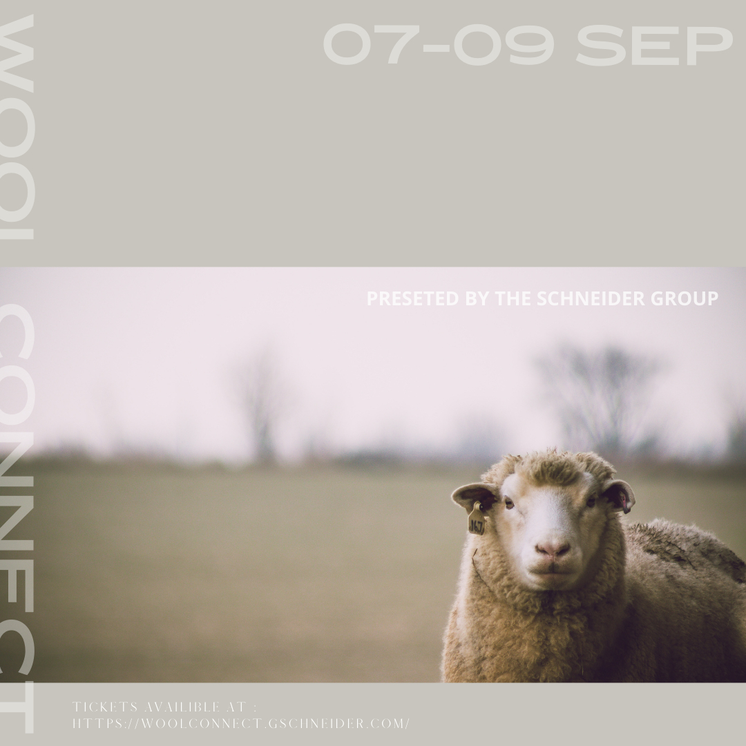 CapeWoolsSA's tweet photo. Wool Connect is coming up!
This year's Wool Connect conference is fast approaching, don’t miss out on your chance to learn about the latest wool market developments.
Visit: https://t.co/NxKX7GeY5j
#woolconnect https://t.co/IBRbMnGa8u