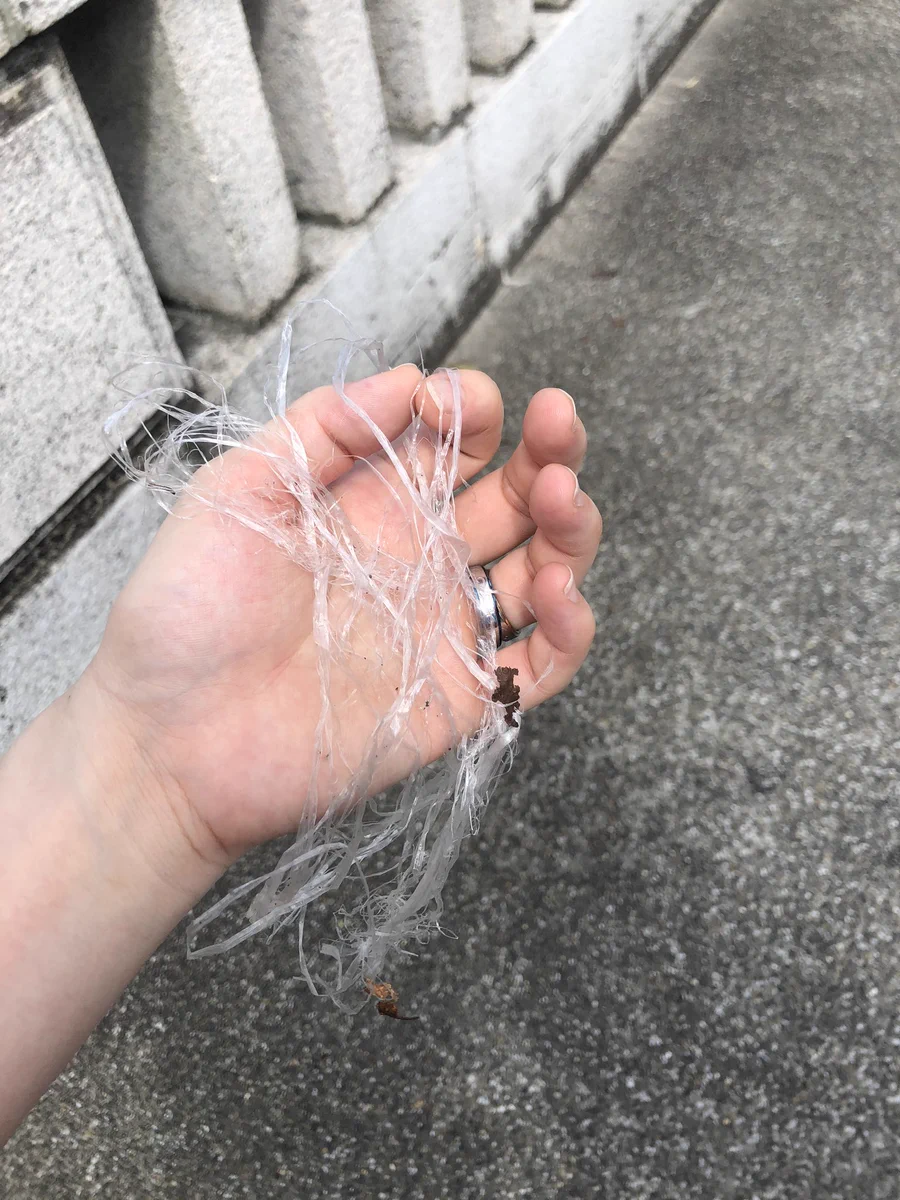 糸やビニル紐が絡まって死ぬことも…見つけたら拾う、捨てる等して鳥たちの命を守ろう！