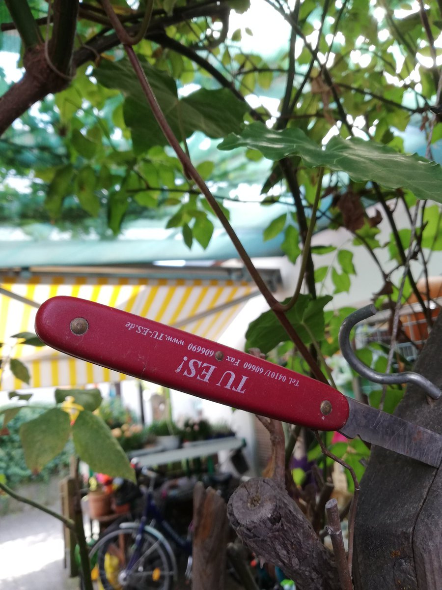 pittysoares tweet media