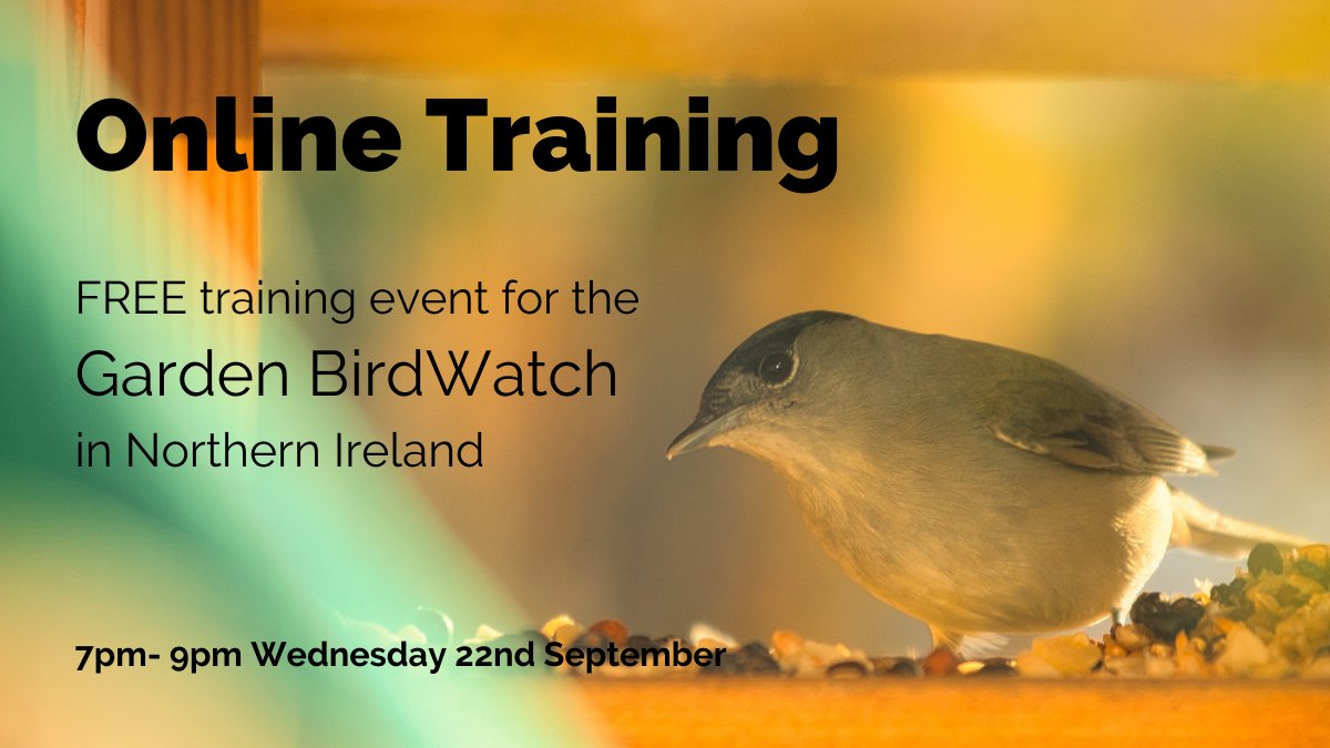 Based in Northern Ireland? Interested in learning about your garden wildlife &amp; contributing to important scientific research without leaving your home? Sign up for our upcoming free Garden BirdWatch online training evening. Link for info &amp; registration: bit.ly/NIGardenBirdTr…