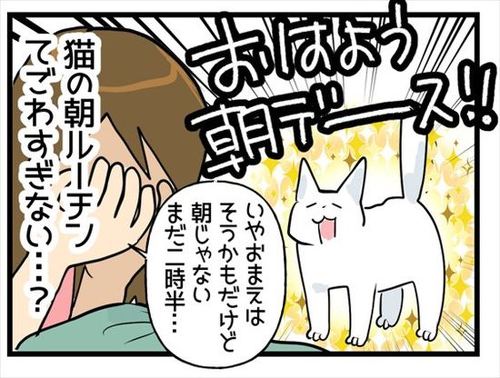 猫「おはよー!」飼い主「まだ深夜だよ……」 いつもより早く寝た猫に叩き起こされる飼い主の漫画に共感集まる https://t.co/i8LMsbOyc1 @itm_nlabより 