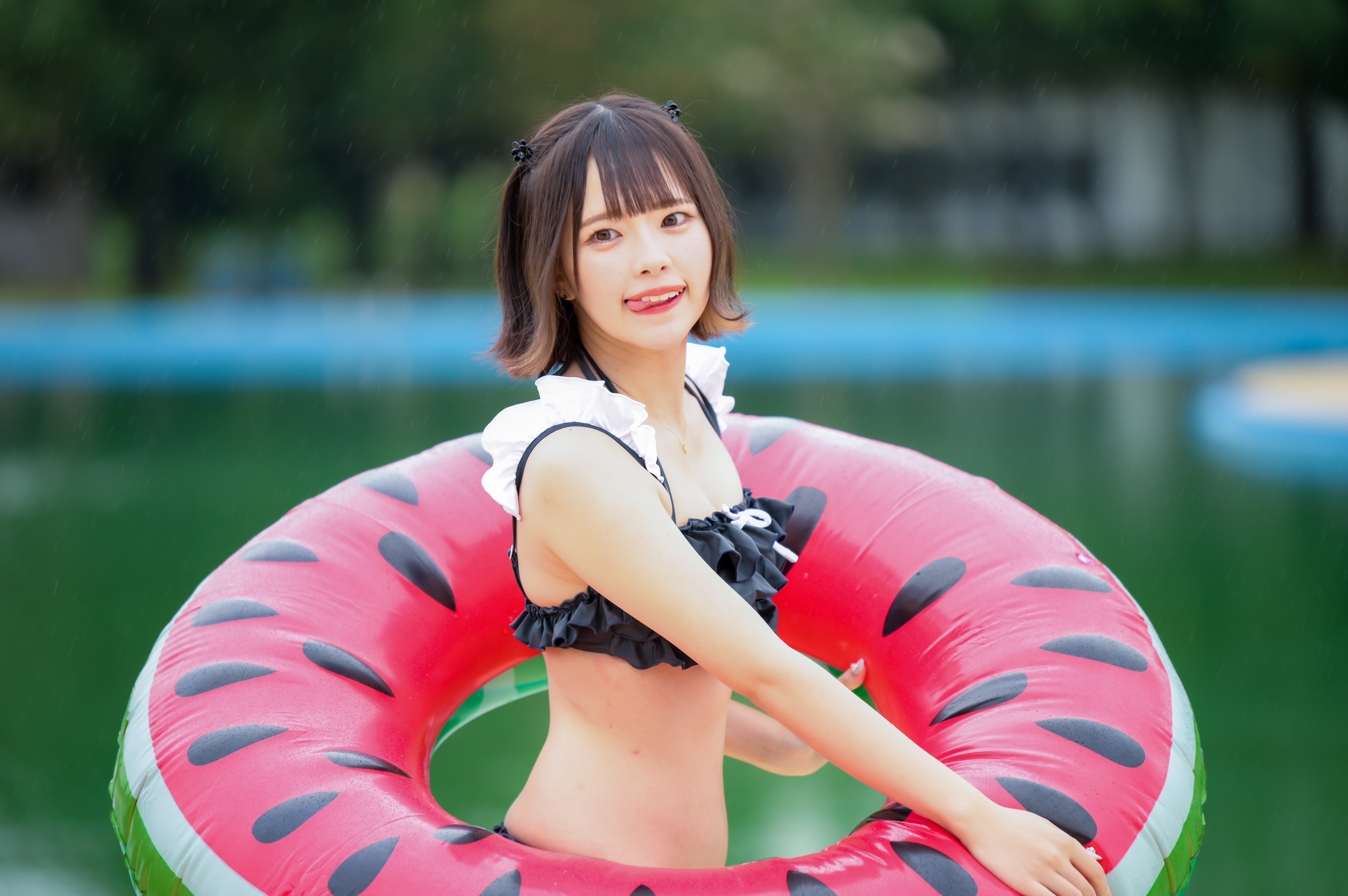 プルメリア　アロハちゃん♡コア君♡専用 あーくん📷写真用 on X: 