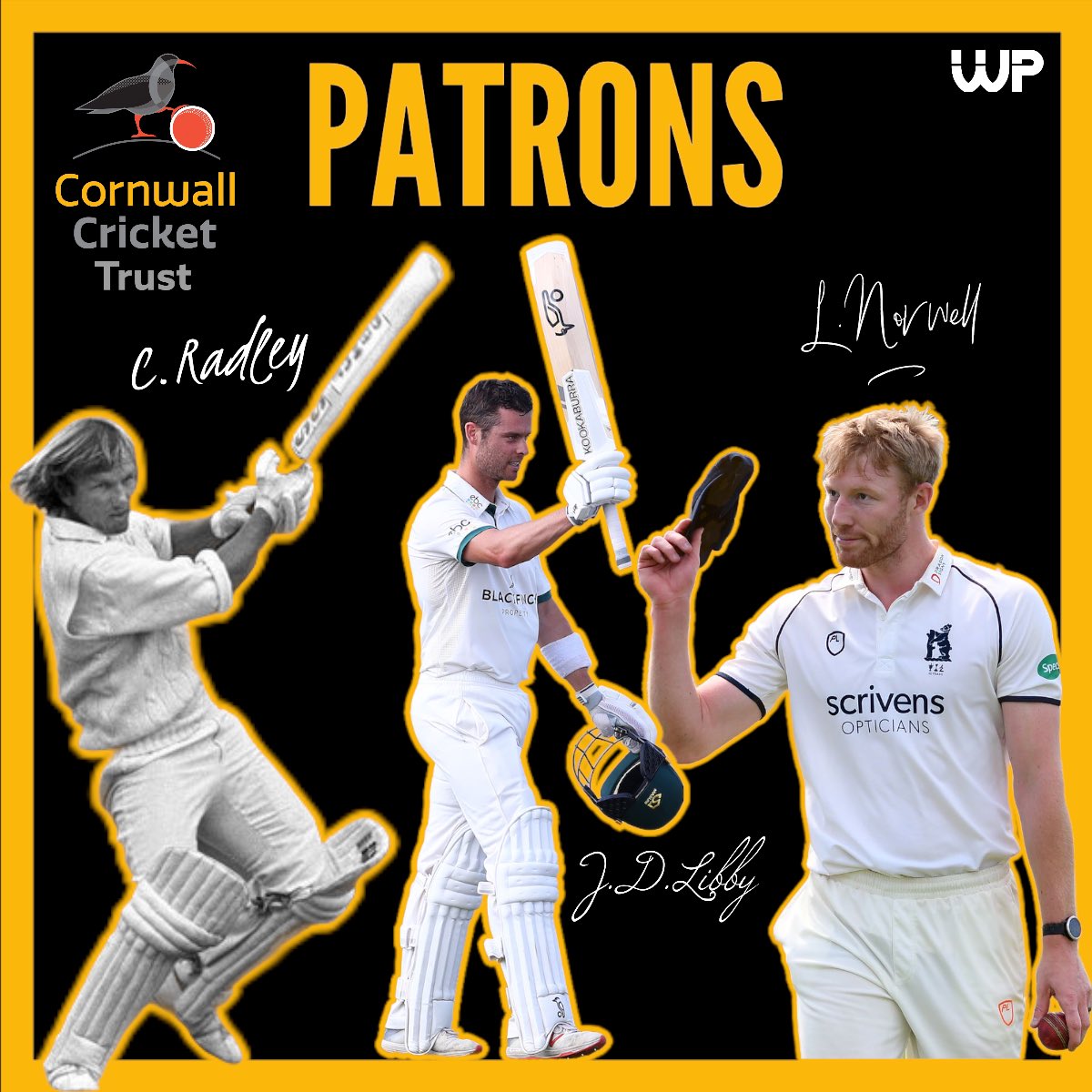 Cornwall Cricket Trust tweet media