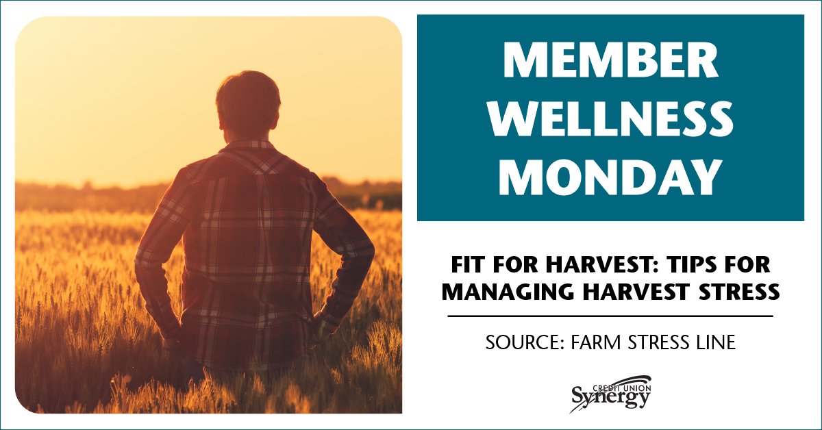 Synergycu's tweet photo. Want to hear what some farmers have done to help them manage and alleviate stress during harvest? Here are some of their tips and advice from the Farm Stress Line: https://t.co/KMkM445lxa
#MemberWellnessMonday #FarmStressLine #FarmStress #Harvest #farm #Farmers #farming https://t.co/pRKxda3FXx