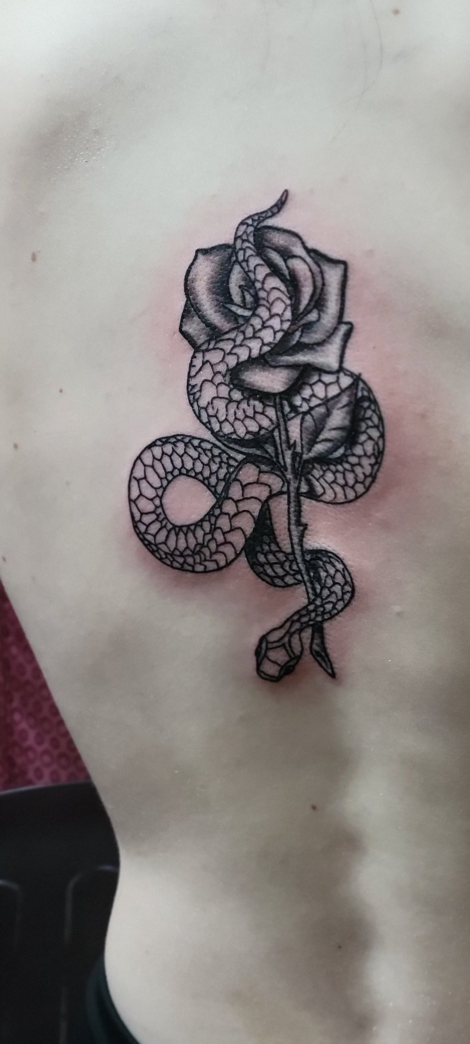David Bowling on Twitter: david-bowling-on-twitter-first-session-on-this-snake-tattoo-snake-snaketattoo-rosetattoo-rose-https-t-co-hksfjvhge1-twitter