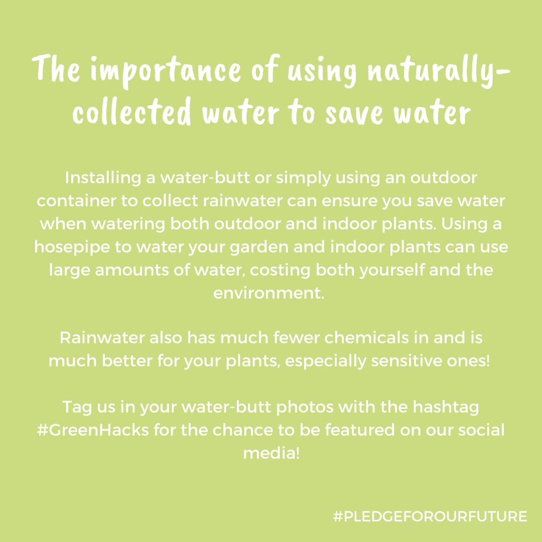 Calling all #gardeners! Do you have a water butt in your #garden?🌿🌷 #GreenHacks

#gardening #nature #sustainability #pledgeforourfuture #ecowarriors #eco #sustainable #plasticfree #sustainabilitytips #ecoanxiety #climatechange #climateaction #carbonfootprint #biodiversity