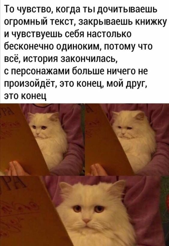 📖С книгой по жизни📖 (@a_happy__ending) on Twitter photo 