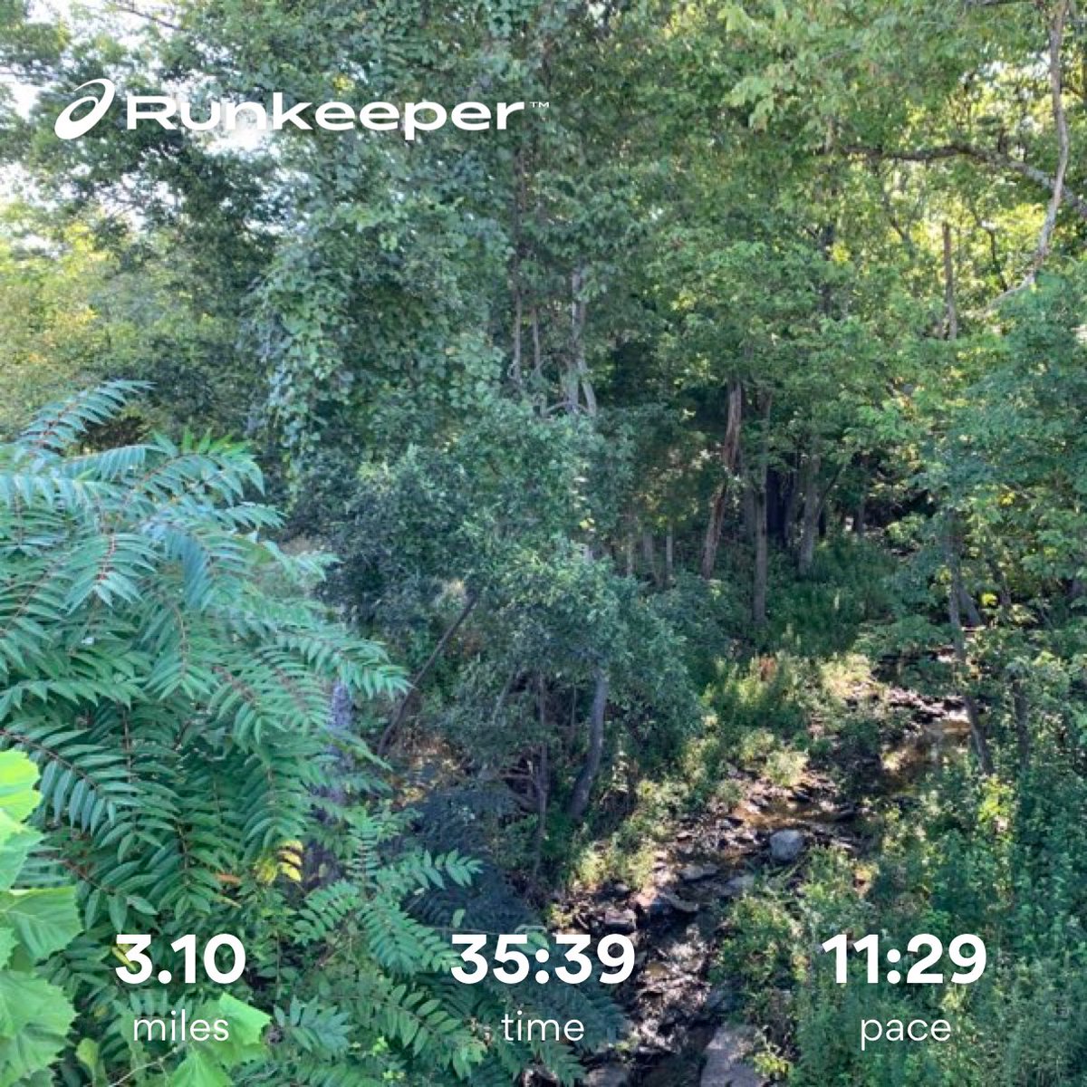 Mercy 5K day - I pain my registration and donated but couldn’t bring myself to run with a bunch of people so I ran close to the house. #runningtolose