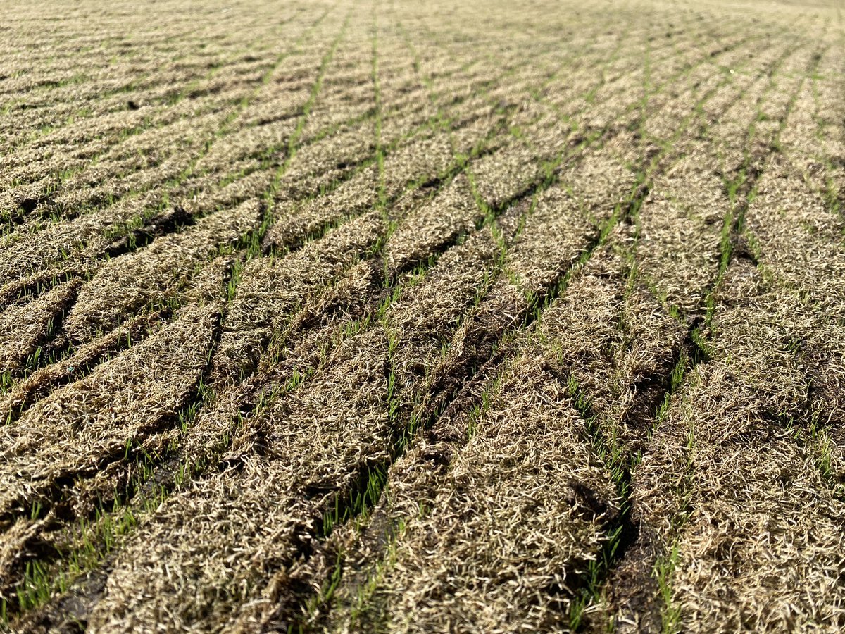 Scott Rettmann tweet media