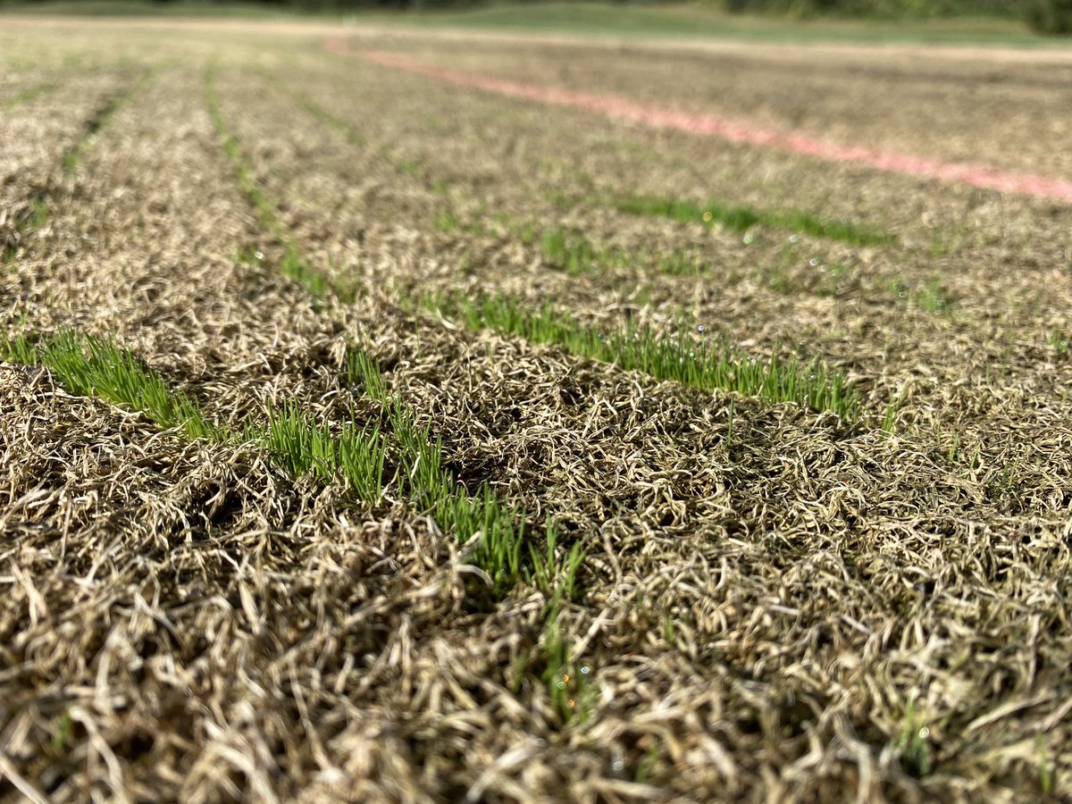 Scott Rettmann tweet media