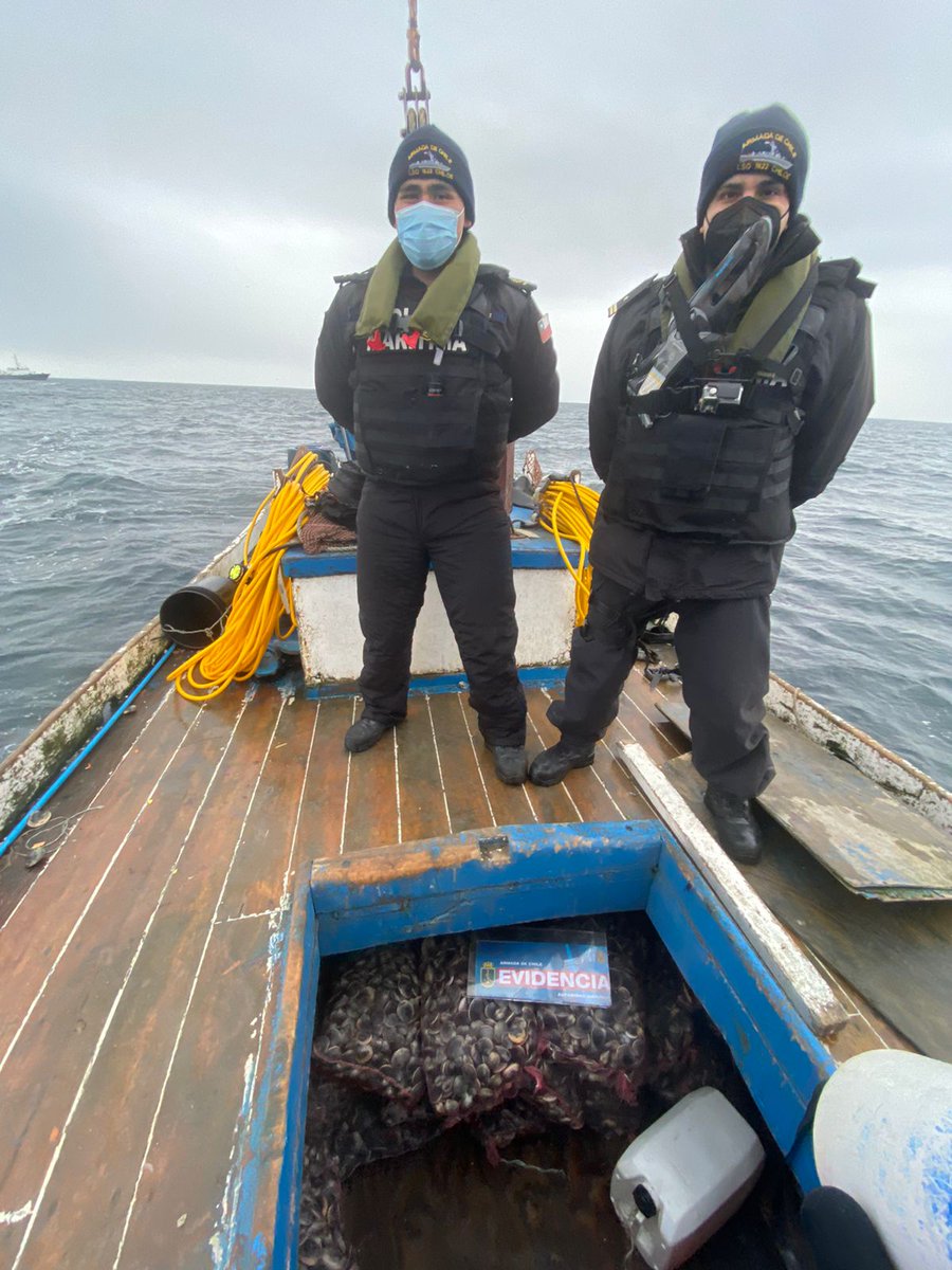 DGTM_Chile's tweet photo. La Lancha de Servicio Generales, LSG-1622 “Chiloé”, en un operativo conjunto con el @sernapesca, logró incautar 720 kilos de almejas, al norte de #IslaTac.
Buzo mariscador no contaba con Registro Pesquero Artesanal (RPA).

#AutoridadMaritima
@Armada_Chile @maritgobcas https://t.co/dchiwByGVp