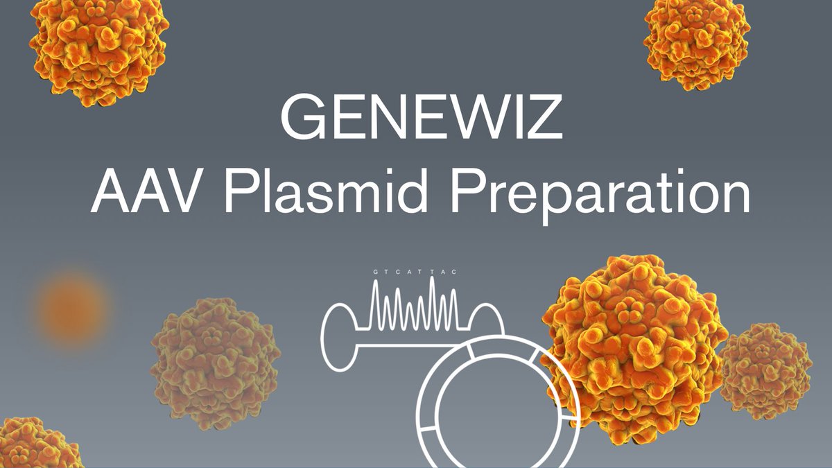 Improve the quality of recombinant #AAV vectors with our AAV plasmid prep service, which ensures delivery of intact ITR clones so you can focus on your #genetherapy research. Learn more: hubs.ly/H0Wn8980 #BrooksLifeSciences