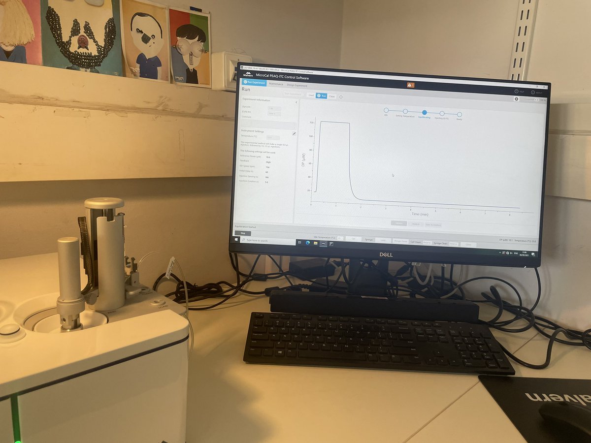 A watched ITC never equilibrates 😴🙄