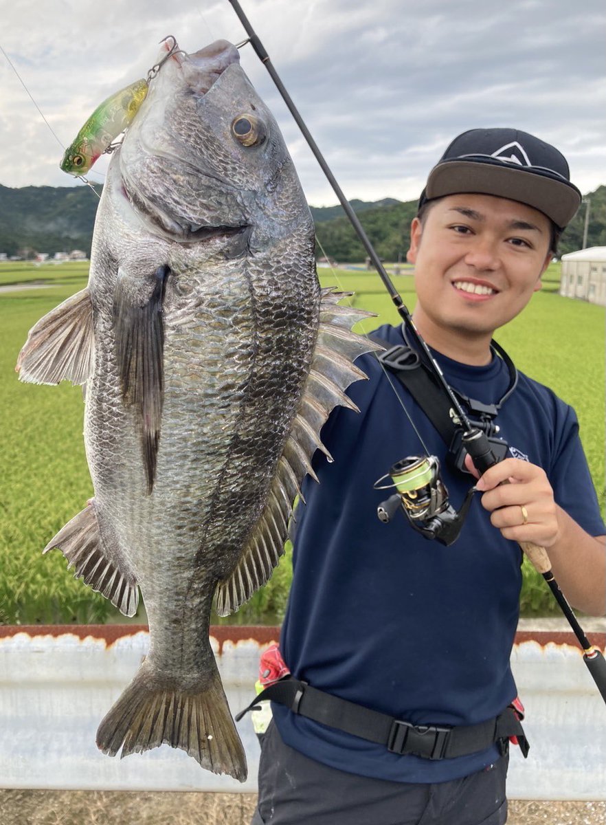 biwagonzales's tweet photo. 最近始めたチヌトップ。
簡単かと思いきや、深い！楽しい！
マチヌとキビレの40upしっかり確保🐟

あとはお久なジグ単アジング。

#トランスセンデンス
#ボティア https://t.co/PrCN3bgWaz