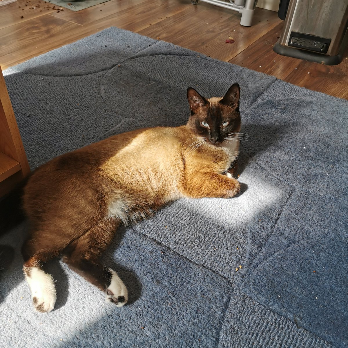 Talking Loud tweet media