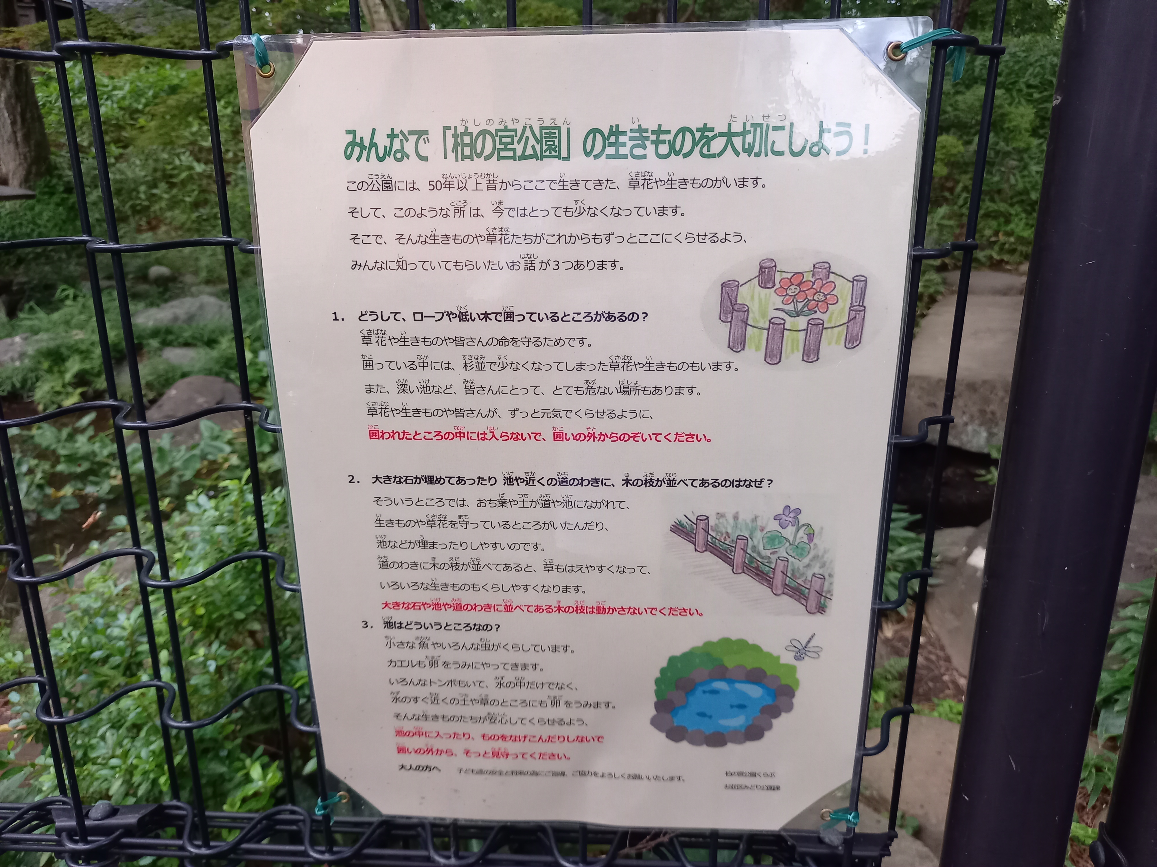 توییتر 三浦靖雄 در توییتر 登録3号は浜田山の柏の宮公演の 公園の生き物を大切にしよう のお願い 保護エリアがある公園で植物 や生き物を守るようになっています 使用素材はその名も 池 いらすとや いらすとやマッピング いらすとやマップ